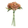 Melrose Orange Berry Bundle (Set of 2) - 2 of 3