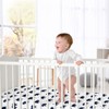 Sweet Jojo Designs Boy Baby Fitted Crib Sheet Big Bear Blue and White - 2 of 4
