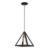 Livex Lighting Pinnacle 1 - Light Pendant in  Bronze/Antique Brass - 2 of 4