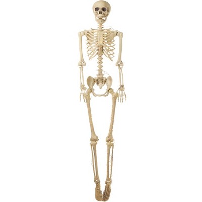 The Lakeside Collection Lighted Poseable Skeletons - 65"