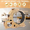 Akoasm Upgraded Indoor 6-in-1 Cat Exercise Wheel with Silent Wheels-Natural - 2 of 4