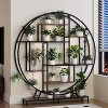 VINGLI Plant Stand Indoor with Grow Light, 63 Inch Tall Lighted Plant Shelf Indoor with 5 LED Light Strips for Living Room, Balcony, Bl - 4 of 4