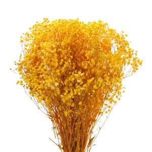 Unique Bargains Natural Dried Baby's Breath Flowers Branches for Wedding Party Decoration Yellow 2 Pcs - 1 of 4