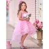 Dreaming With Fairies Pink Butterfly Tulle Dress Mia Belle Girls - 3 of 4