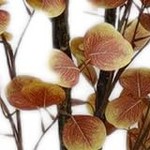 encryption 150cm include basin