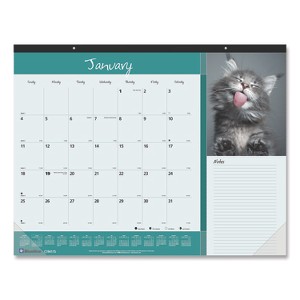 Pets Collection Monthly Desk Pad, Furry Kittens Photography, 22 x 17, White Sheets, Black Binding, 12-Month (Jan-Dec): 2026 - 1 of 4
