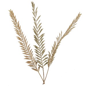 Vickerman Natural Botanicals 27" Rahul Stick Natural 8 Stems/Bunch. Each rahul stick measures about 27 inches tall and 3.9 to 4.3 inches wide. It - 1 of 4