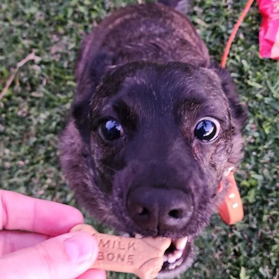 Guest review image 1 of 2, zoom in