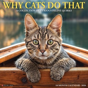 Willow Creek Press 2026 Why Cats Do That Wall Calendar - 1 of 4