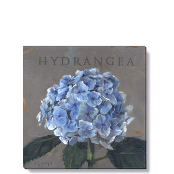 Sullivans Darren Gygi Hydrangea Canvas, Museum Quality Giclee Print, Gallery Wrapped, Handcrafted in USA
