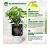 Set of 2 Self-Watering Planters (14") with drainage holes & water monitor. Perfect for patio, porch, living room, or home office. - 3 of 4