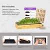Hamama Microgreens Growing Kit, Sprouting Kit, Non-GMO Microgreen Seeds, Just Add Water, Includes Bamboo Frame, Standard Tray - 2 of 4