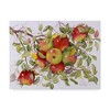 Trademark Fine Art -Marcia Matcham 'Apples On A Branch' Canvas Art - 2 of 3