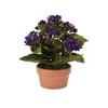 Melrose Potted Kalanchoe Flower (Set of 4) - 4 of 4