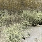 farmhouse gray