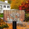 Briarwood Lane Pumpkins and Willows Autumn Magnetic Mailbox Cover Primitive Standard - 2 of 3