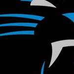 carolina panthers
