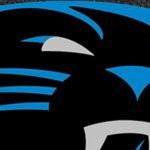 carolina panthers