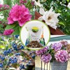 Soil Sunrise Acid Loving Plant Potting Soil Mix, Premium Container Blend pH Balanced for Azaleas, Rhododendrons, Blueberries and More - 4 of 4
