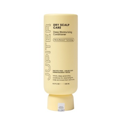 Jupiter Dry Scalp Care Deep Moisturizing Conditioner - 8.5 fl oz