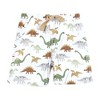 Hudson Baby Infant Boys Shorts Bottoms 4-Pack, Brown Sage Dinosaurs - 3 of 4