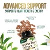 Green Tea Extract, Natural Fat Burn & Weight Loss Supplement 1000mg EGCG Capsule - 240 Capsules By PureTea - 4 of 4