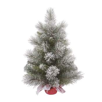 Collections Etc Led Frosted Hanging Artificial Winter Pine And Holly ...