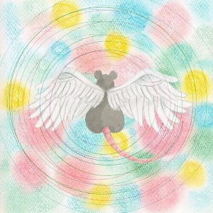 Mei Semones - Animaru (CD) - 1 of 1