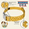 Country Brook Petz Premium Dog Collar - Spring Collection - 4 of 4