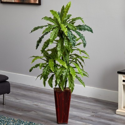 55'' Green Marginata Plant with Tall Bamboo Planter