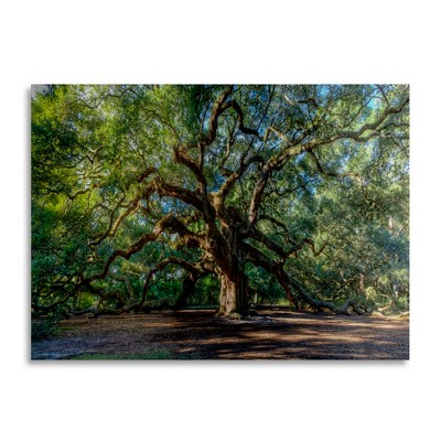 Trademark Fine Art - Pierre Leclerc 'Angel Oak Charleston'