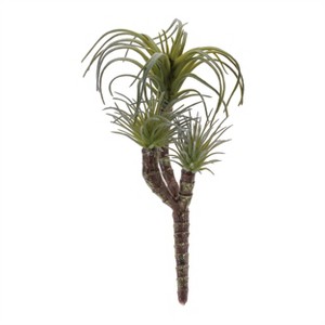 Air Plant Succulent Pick (Set of 6) - 1 of 3