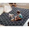 AMERLIFE Area Rug with Shaggy High Pile, Soft Carpet for Living Room and Bedroom - 4 of 4