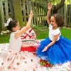 A Leading Role x Strawberry Shortcake Premium Child Berry Blue Tulle Skirt - 3 of 4