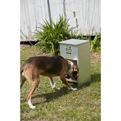 Pet Lodge Galvanized Steel Automatic Dog Feeder, 25 lb Capacity