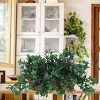 Floral Home 13" Mini English Ivy Bush with 176 Leaves - 12-Piece - 3 of 4