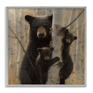 Stupell Industries Forest Black Bear and Cubs, 12" x 12" - 1 of 4