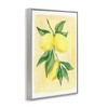 Stupell Industries Hanging Lemons Country Charm Black Framed Giclee Art - 3 of 4