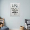 HomeRoots Under the Sea White Floater Frame Print Wall Art - 2 of 4