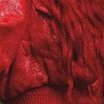 clear push pins bundle