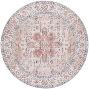 Arizona ARZ243 Machine Washable Skid Resistant Power Loomed Indoor Rugs - Safavieh - 1 of 4