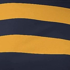 mustard navy