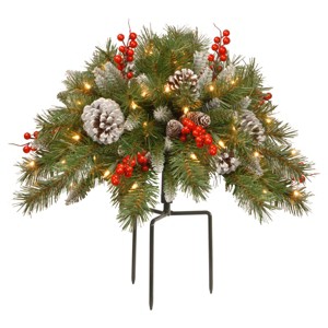 18" Frosted Berry Urn Filler with Battery Operated Warm White LED Lights - National Tree Company - 1 of 4