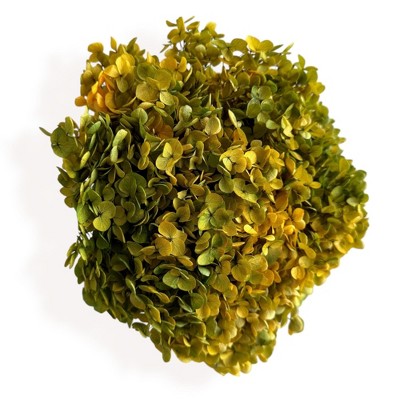Alilang Decorative Dried Hydrangea Blooms for Home Decoration and Floral Arrangements, 7.8 Inches