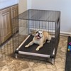 FXW TitanNest Chew-Proof Elevated Dog Bed, Raised Cot for Indoor/Outdoor/Camping Use, Durable & Waterproof Cooling Pet Bed - 3 of 4