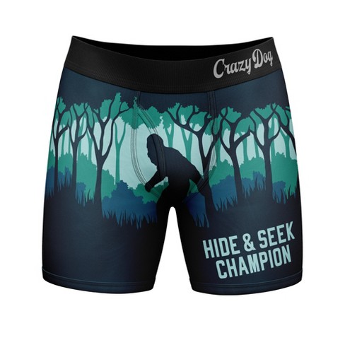 Champion boxer briefs target best sale