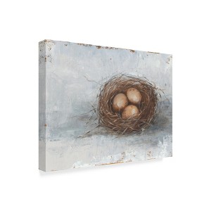 Trademark Fine Art -Ethan Harper 'Rustic Bird Nest Ii' Canvas Art - 1 of 4