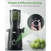 ECOSELF Cold Press Juicer,slow juicer with 4.35" Large Feed Chute Fit Whole Fruits and Vegetables & Easy to Clean - 2 of 4