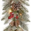 National Tree Company Pre-Lit Artificial Christmas Garland, Green, Snowy Bristle Berry, White Lights, With Pine Cones, Berry Clusters, Plug In,9 Feet - 3 of 3