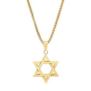 Steeltime 24" Men's 18k gold plated stainless steel star of David pendant - 1 of 4